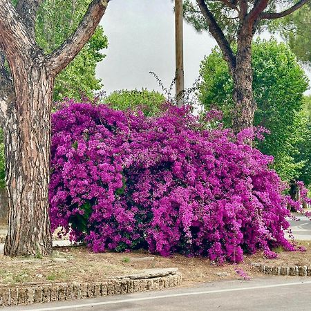 Villa Casa Mila Marina di Cerveteri Exterior foto