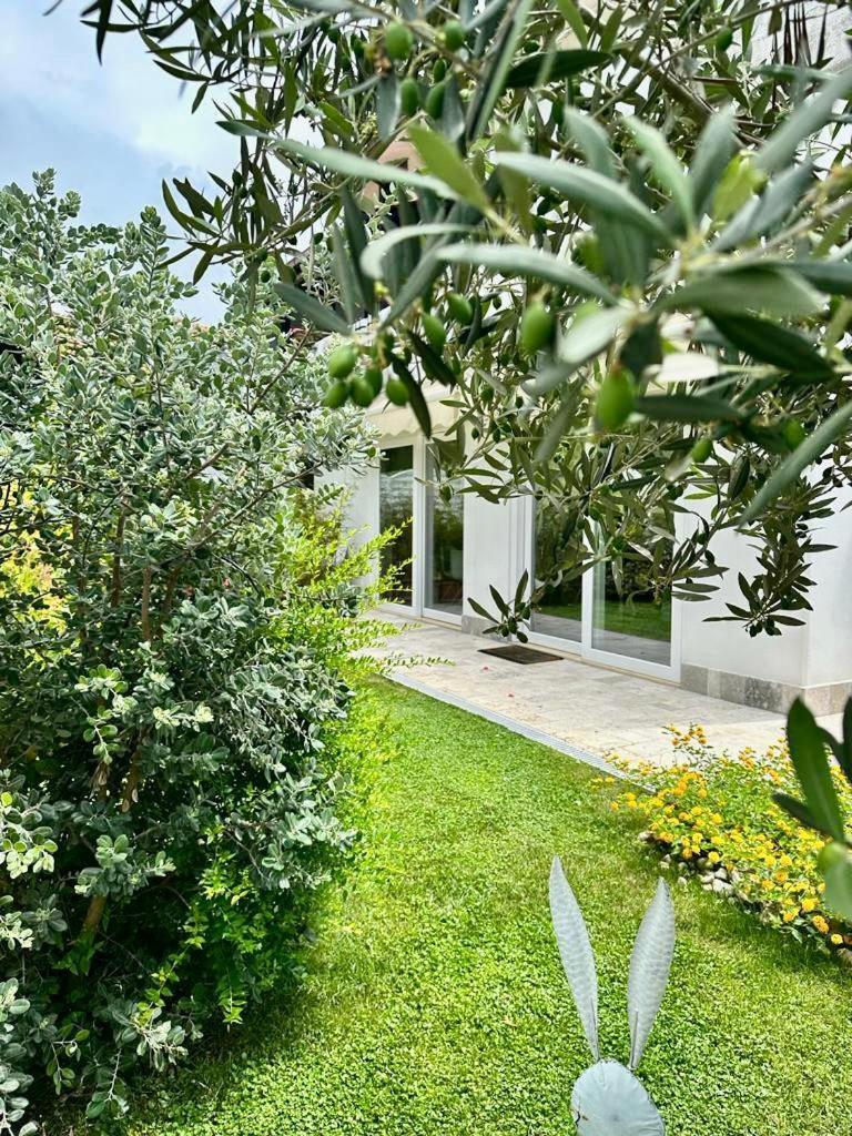 Villa Casa Mila Marina di Cerveteri Exterior foto