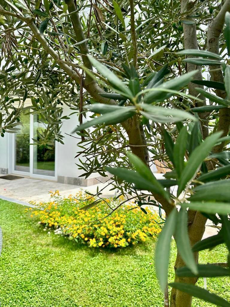 Villa Casa Mila Marina di Cerveteri Exterior foto