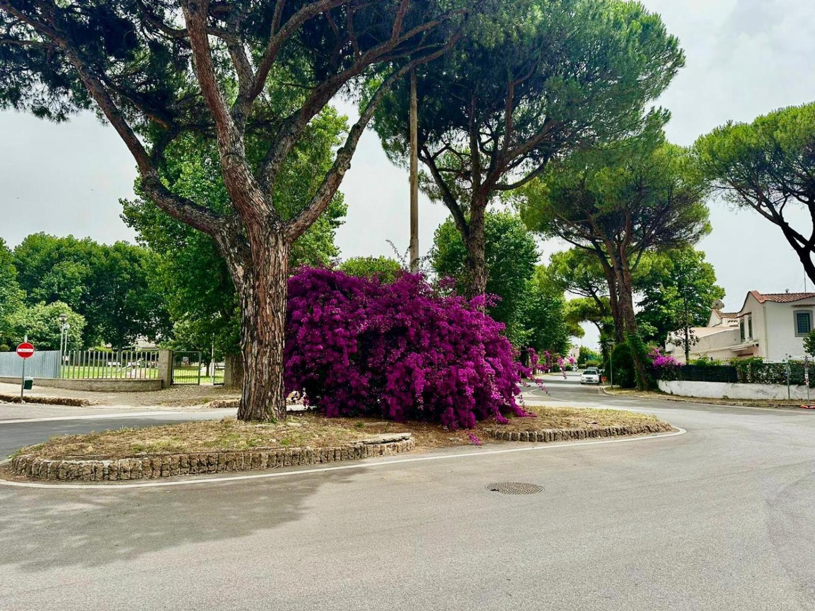 Villa Casa Mila Marina di Cerveteri Exterior foto